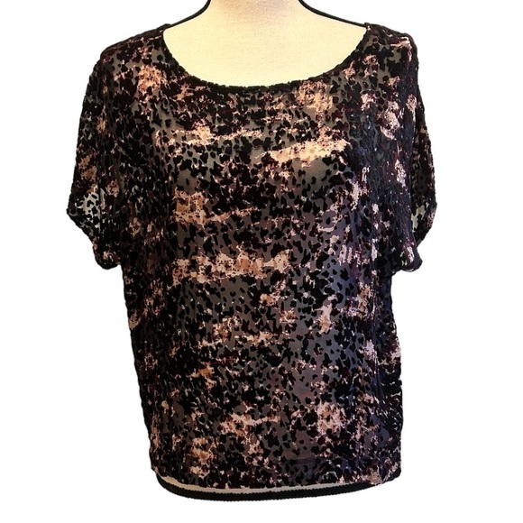 Club Monaco Top Pink Black Burnout Velvet Cheetah Print Sheer Mesh size Small - Picture 1 of 16